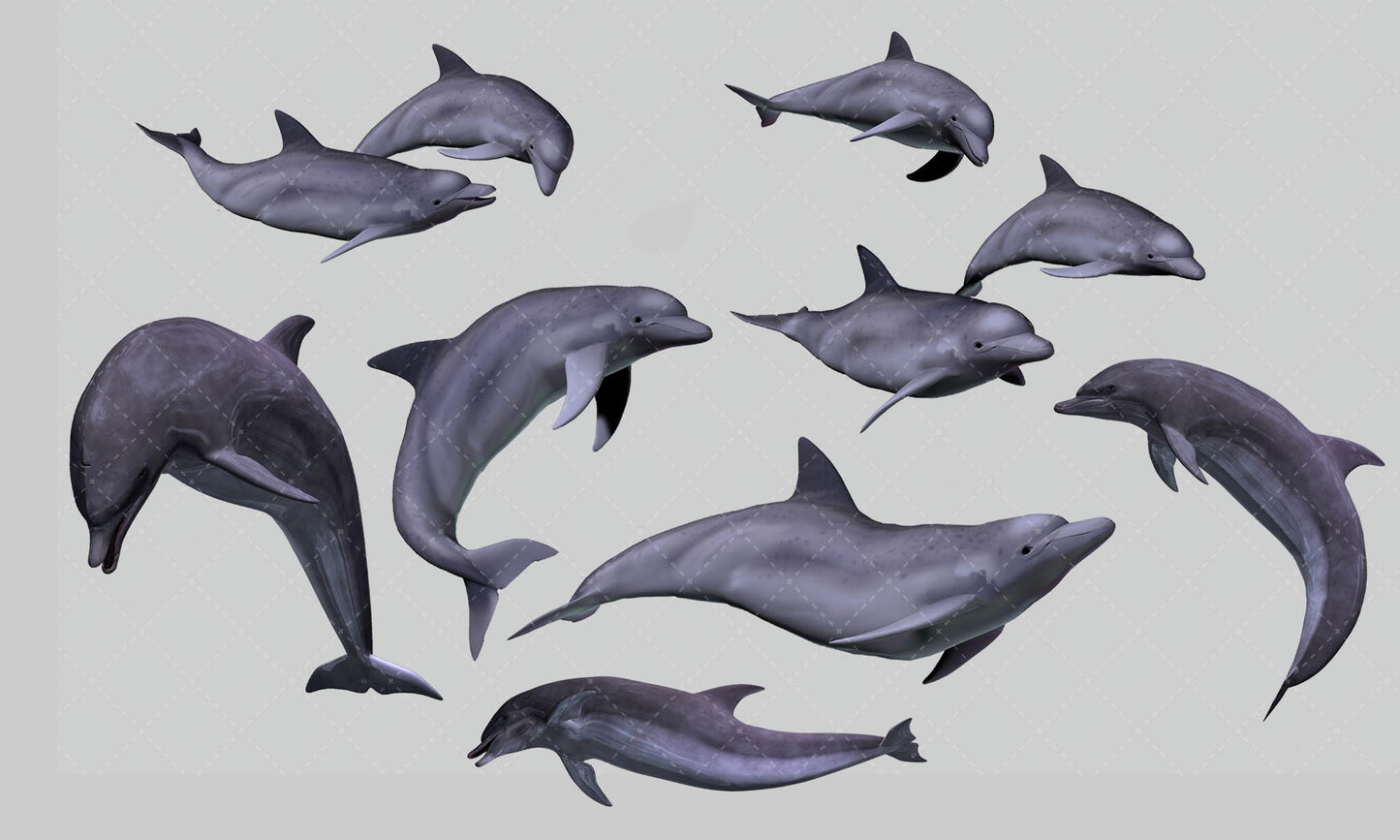 Dolphin Overlay
