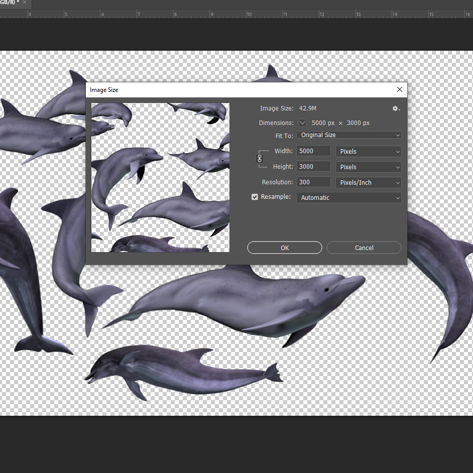 Dolphin Overlay