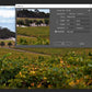 Barossa Valley Vineyard 2